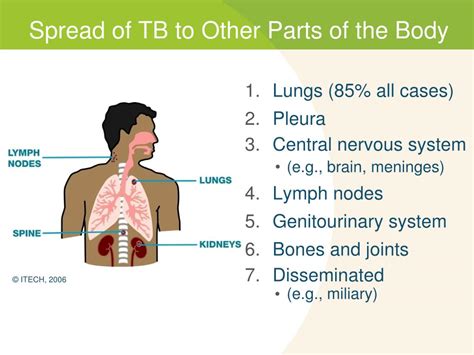 Tb parts - Tuberculosis. Tuberculosis (TB) is a contagious disease caused by infection with Mycobacterium tuberculosis ( Mtb) bacteria. It is spread through the air when a person with TB disease of the lungs or throat coughs, speaks or sings, and people nearby breathe in these bacteria and become infected. TB typically affects the lungs, but it can …